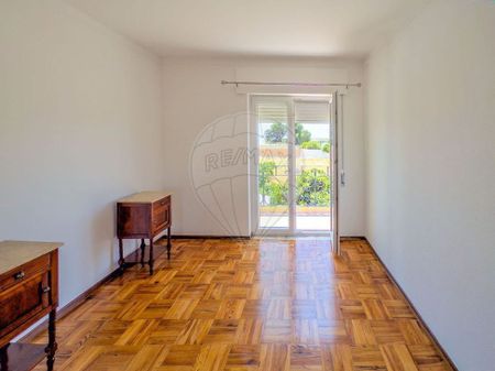 Faro, Faro 8900-067 - Photo 5