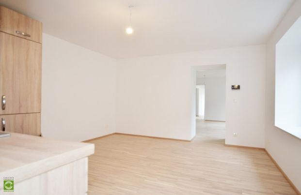 CHRISTOPH CHROMECEK IMMOBILIEN - PERCHTOLDSDORF - Renovierte 2-Zimmer Altbauwohnung mit Garten in Zentrumslage! - Photo 1