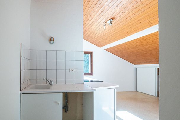 STUDIO 27.89 m² - ANNECY SECTEUR SEYNOD - Photo 1