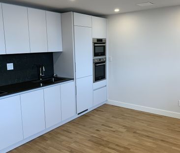 230 Oak Street - Photo 3