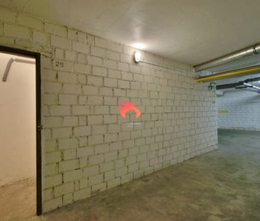 Bydgoszcz, Wyżyny, Ogrody - Zdjęcie 4