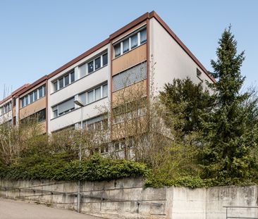 Ihre Wohlfühloase in der Nähe des Rheinfalls - Foto 2