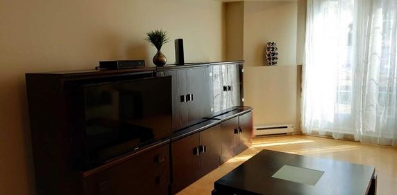 CONDO 4 1/2 MEUBLE, MONT-TREMBLANT A LOUER - Photo 2