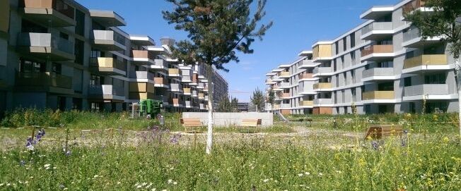 Attractive apartment in the Erlenmatt district - Photo 1