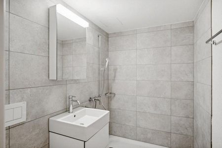 Zentrale Stadtwohnung direkt an der Limmat - Foto 5