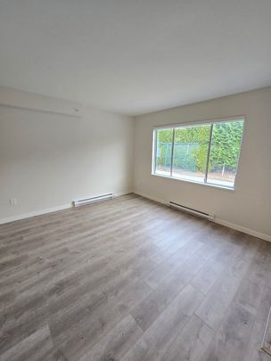 Brand New Unit in Chilliwack - Photo 1