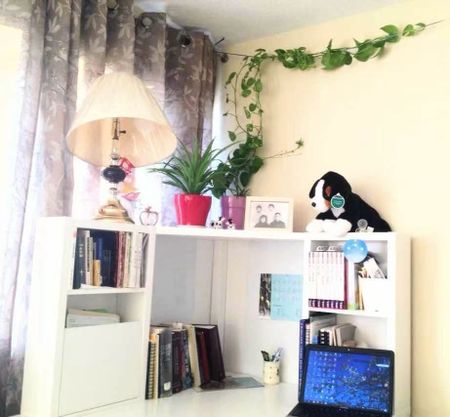 For Lease - 100 Leeward Glenway Unit# 806, Toronto, Ontario - Photo 4