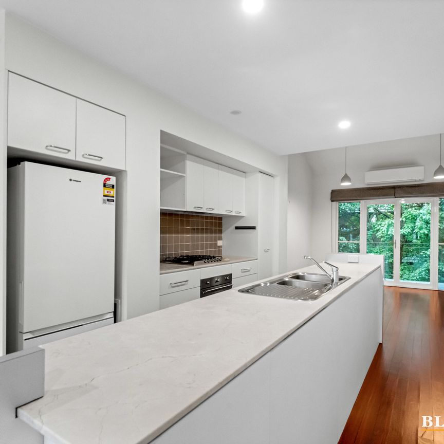 8 Bluebell Street, O'Connor ACT 2602 - House For Rent | Domain - Photo 1