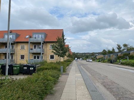Aage Nielsensvej 35 st.tv., 7800, Skive - Photo 3