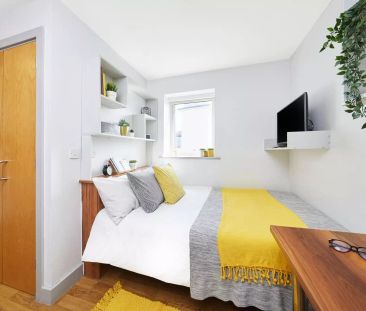 Premium Studio - Photo 6