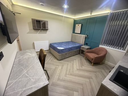 Studio Flat, Selly Oak, B29 - Photo 4