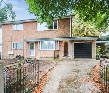 Stirling Road, Bournemouth, BH3 - Photo 4