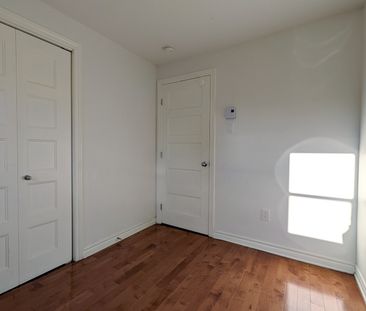 Rue Jeanne-Mance, H2X 2J8, Montréal - Photo 5