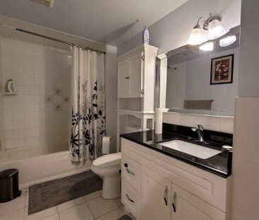 For Lease - 323 Winfield Terrace Unit# Bsmt, Mississauga, Ontario - Photo 5