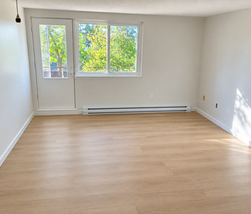 467 Chamberlain Street apartment — Peterborough, ON (1-Bedroom) - 1... - Photo 1
