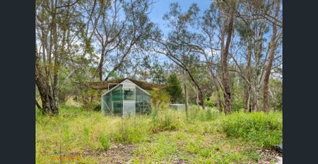 Country Living! - Photo 2