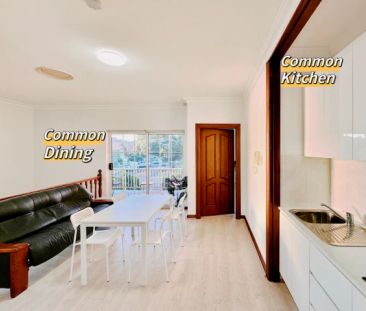 1 Borrodale Rd-001, Sydney - Photo 4