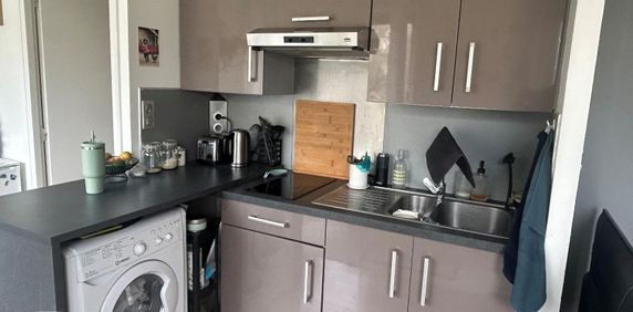 Location Appartement 1 pièce 28m² LILLE 59000 - Photo 2