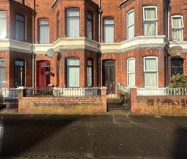 3 Manor Street, BT146DU, Belfast - Photo 2