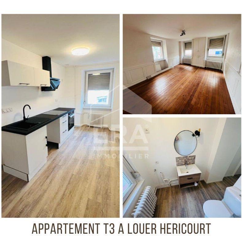 APPARTEMENT T3 DE CHARME HERICOURT COEUR DE VILLE - Photo 1