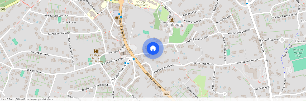 Rue Antoine Cuvelier 12, B, 4053 Chaudfontaine Embourg (Bon état)