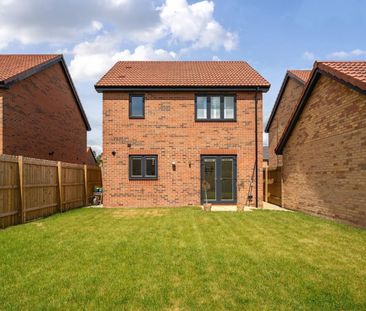 3 bedroom House To Let - Photo 4