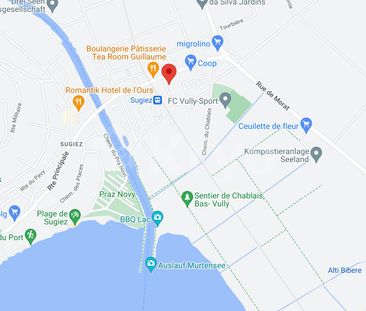 Impasse des Alpes 11 / 2,5 pièces de 90 m2 avec terrasse - Foto 5