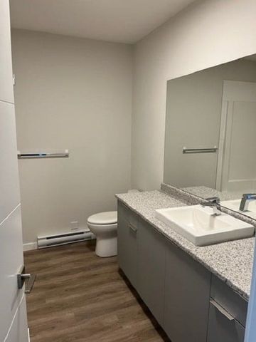 New 2 Bed 1 Bath Basement Suit: Avail July 1 - Photo 3