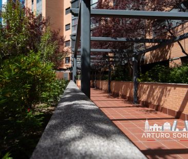 Madrid Capital - Photo 5