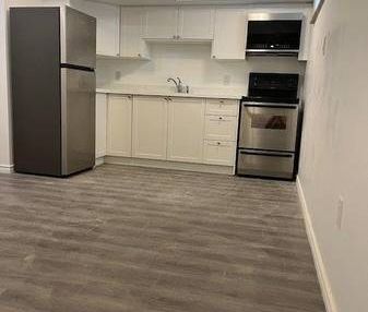 1 Bedroom Brand New Unit Available - Photo 2