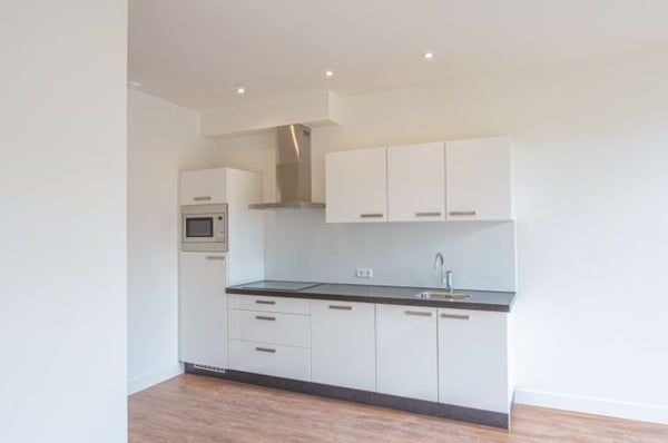 Te huur: Appartement Pretoriusstraat in Amsterdam - Foto 1