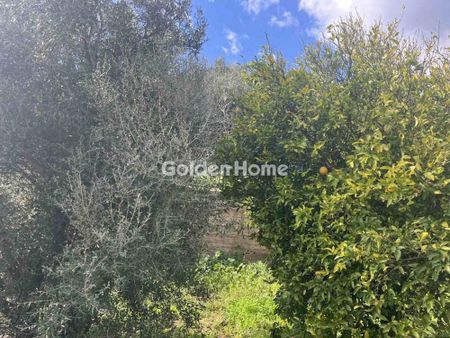 Μονοκατοικία για ενοικίαση Νταού Πεντέλη (Πεντέλη) - Photo 2