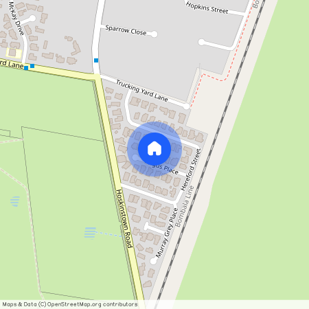 10 Angus Place, Bungendore