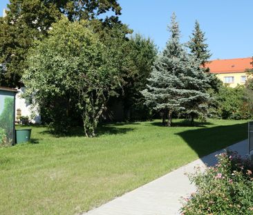 2-Zimmerwohnung im 1. OG - Photo 4