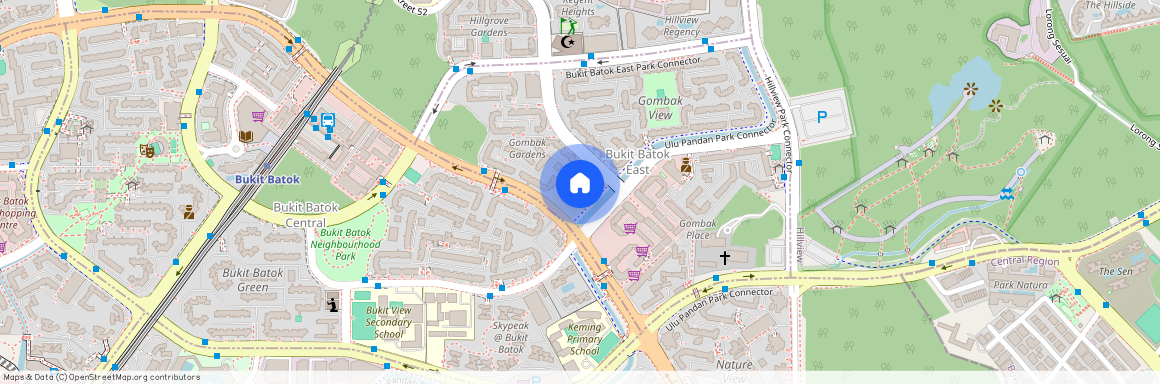 235 Bukit Batok East Avenue 5 (650235), Singapore