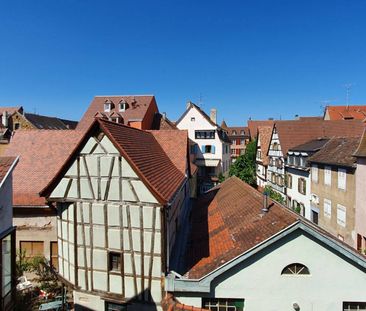 F1 26 m2 meublé centre Colmar - Photo 1