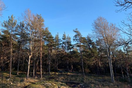 Kullaviks Kaprifolväg, Kullavik - Foto 3