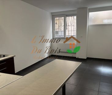 Location Appartement 1 pièce 25m² VIENNE 38200 - Photo 3