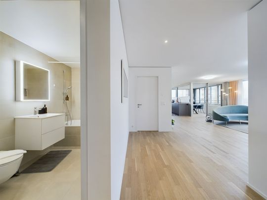 Moderne 5.5-Zimmer Wohnung in Neuhausen - möbliert - Foto 1