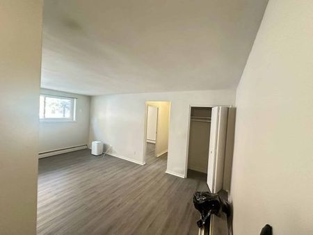 59 Stanley St, Unit 3, Kingston, ON - Photo 4