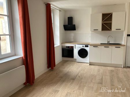 Location Appartement 2 pièces 40m² RABASTENS 81800 - Photo 4