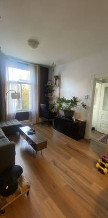 4 1/2 Hochelaga Jan 1-31 Sublet - Photo 1