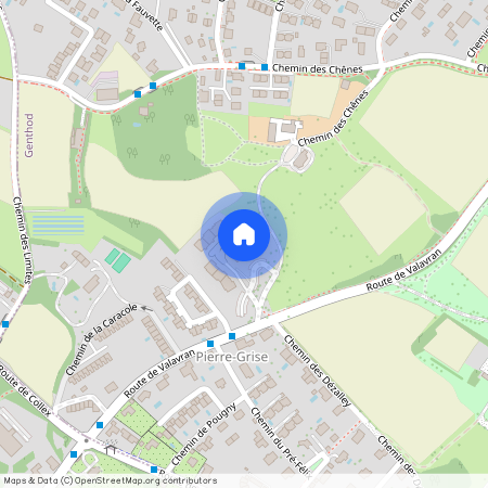 Chemin de la Dîme 6, 1294 Genthod