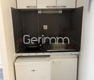 Location Appartement 1 pièce 18,27 m² - Photo 4