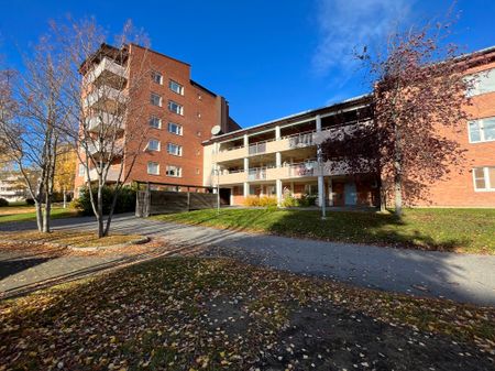 Stackgatan, Skellefteå - Foto 5