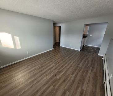 3609 Chaben Place - Photo 5