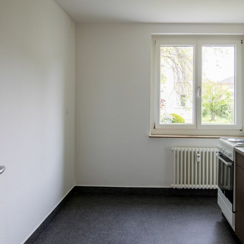 Zwischen Gemeindepark Allschwil und Letten Center - gemütliche 3-Zimmerwohnung im EG - Photo 1