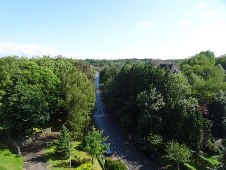 Co-living boven de bomen - Foto 3