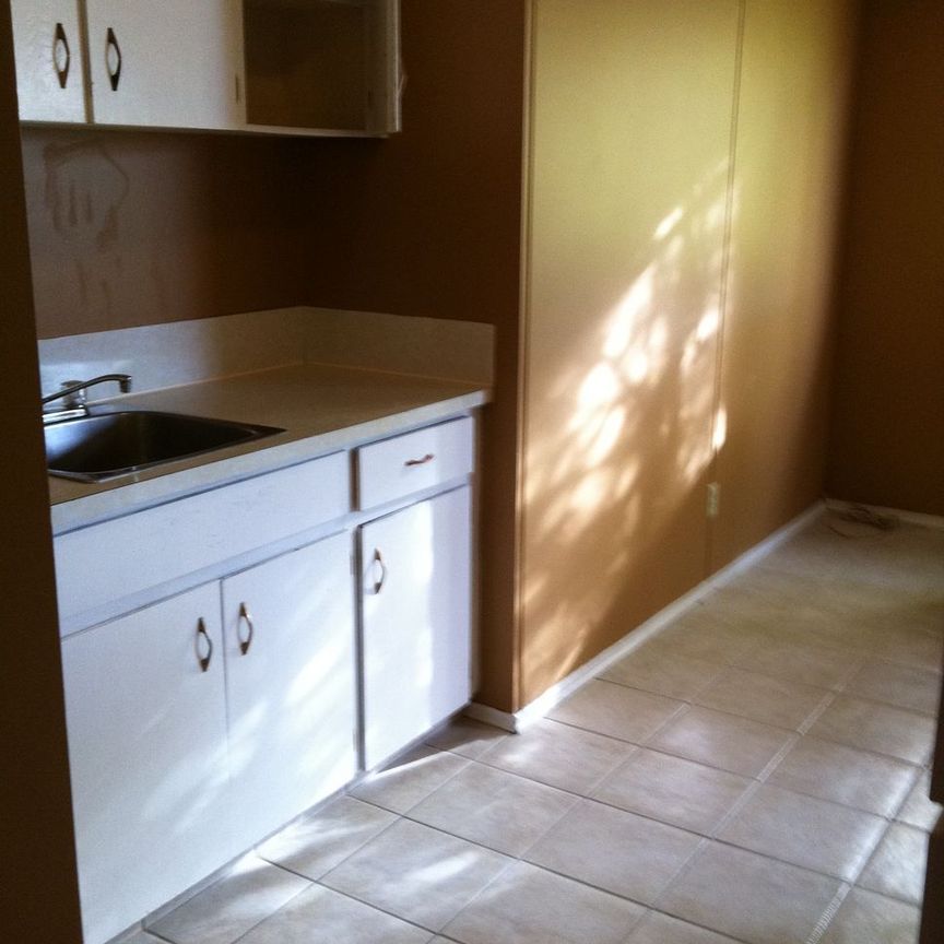3 Bedrooms,large apartment! Amazing Location! Close to U of C! - Photo 1