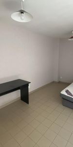 Location Appartement 1 pièce Meublé 20m² LE CREUSOT 71200 - Photo 3